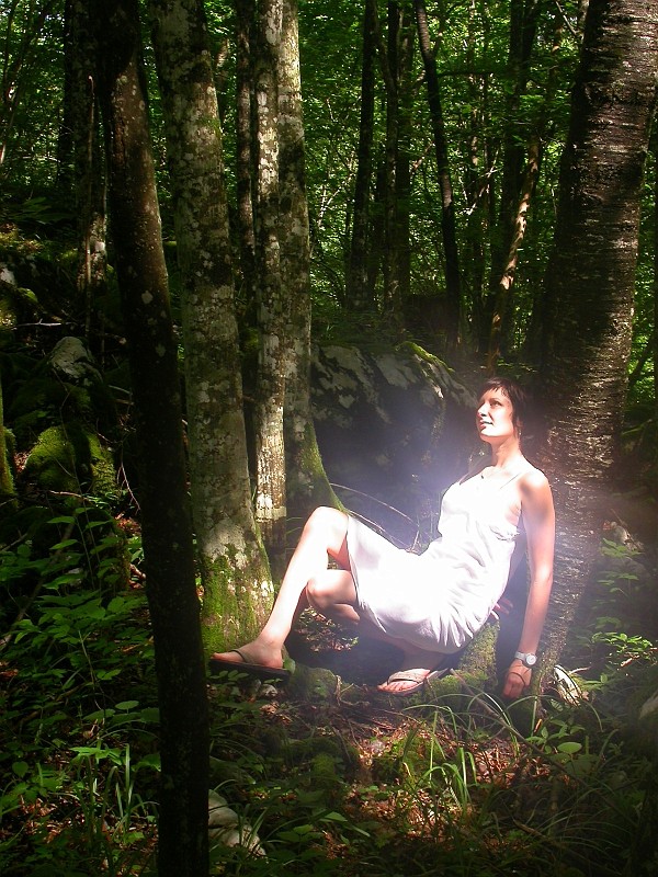 Slovenian Woods 2.jpg